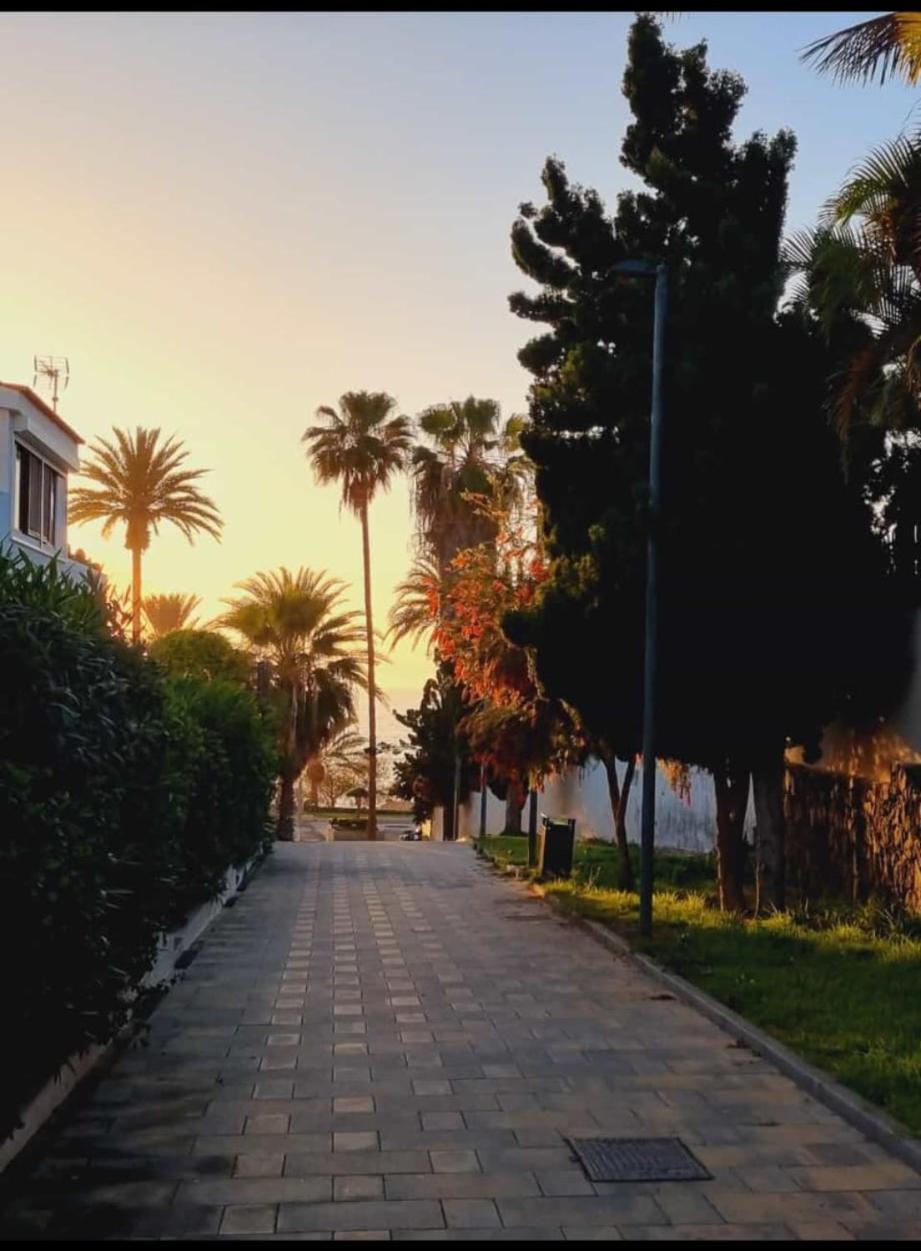 Fwt Relax Bungalow بلايا ذي لاس أميريكاس المظهر الخارجي الصورة
